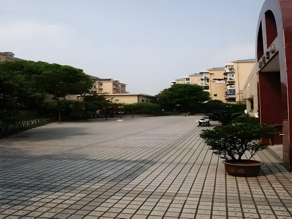 赌神皇后
